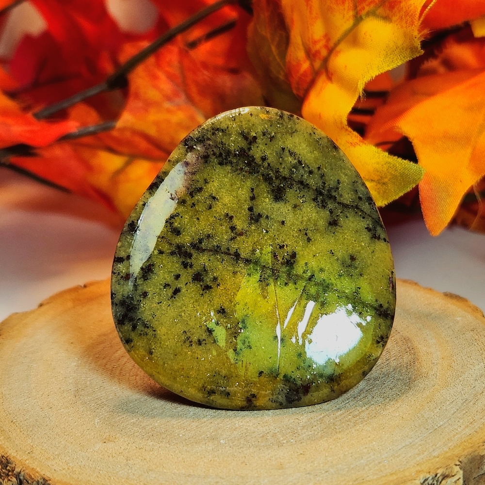 Serpentine Palm Stone